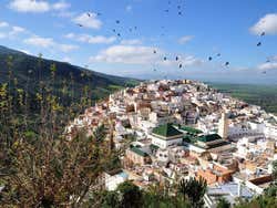 Mulay Idrís