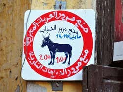 Transporte en la Medina de Fez, el burro
