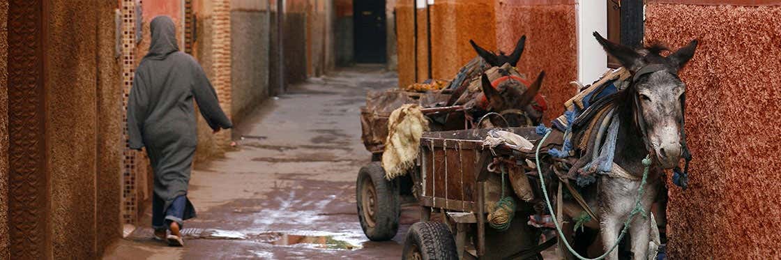 Transporte en Fez